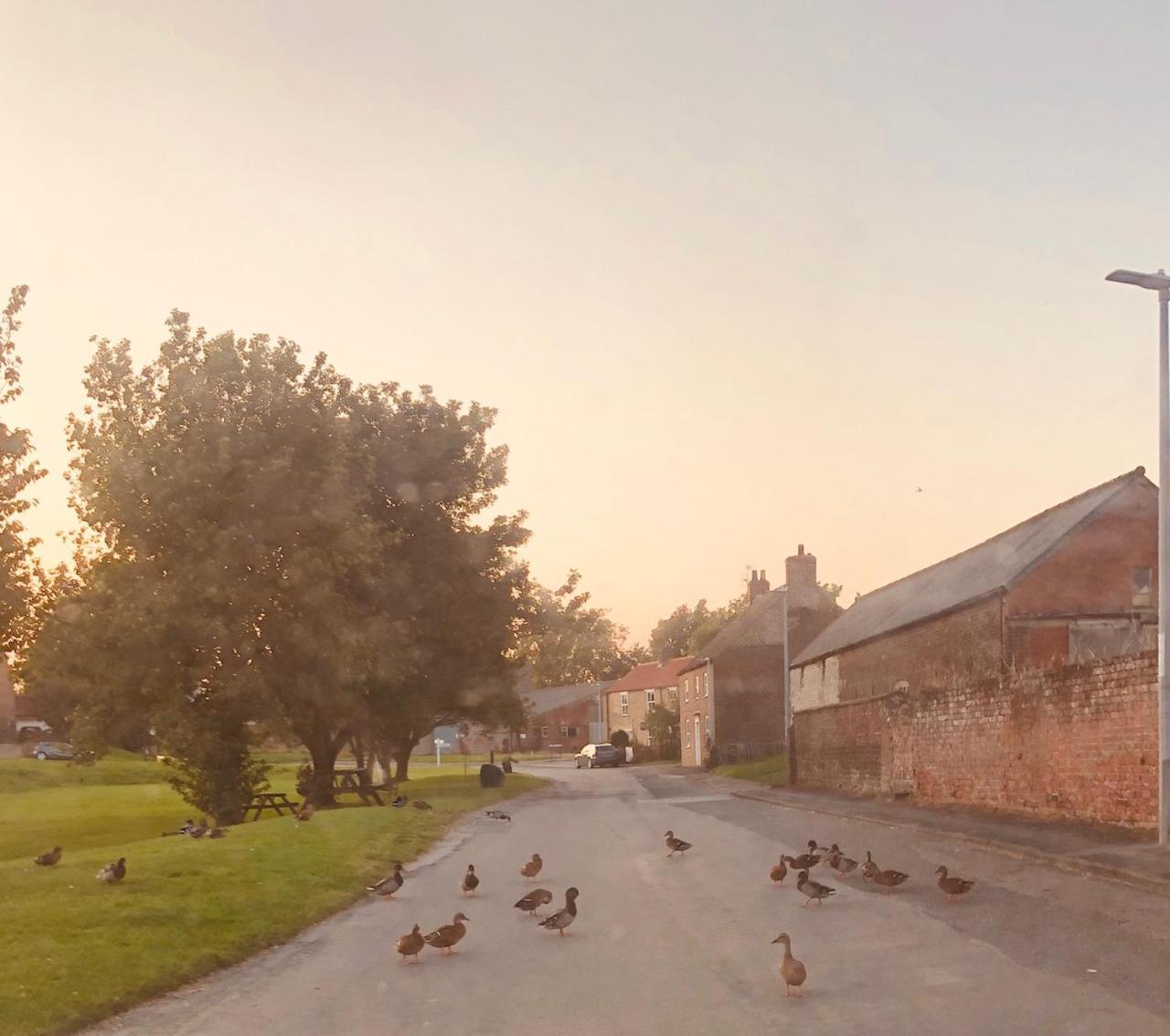 Village Barn Conversion Near Casa vacanze *